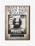 Harry Potter Sirius Black Have You Seen This Wizard Lenticular Wall Art, , alternate