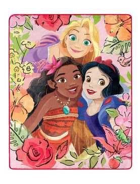 Disney Princess Floral Smiles Silk Touch Throw With Cloud Pillow, , hi-res