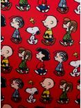 Loungefly Peanuts Charlie Brown & Snoopy Portrait Crossbody Bag, , alternate