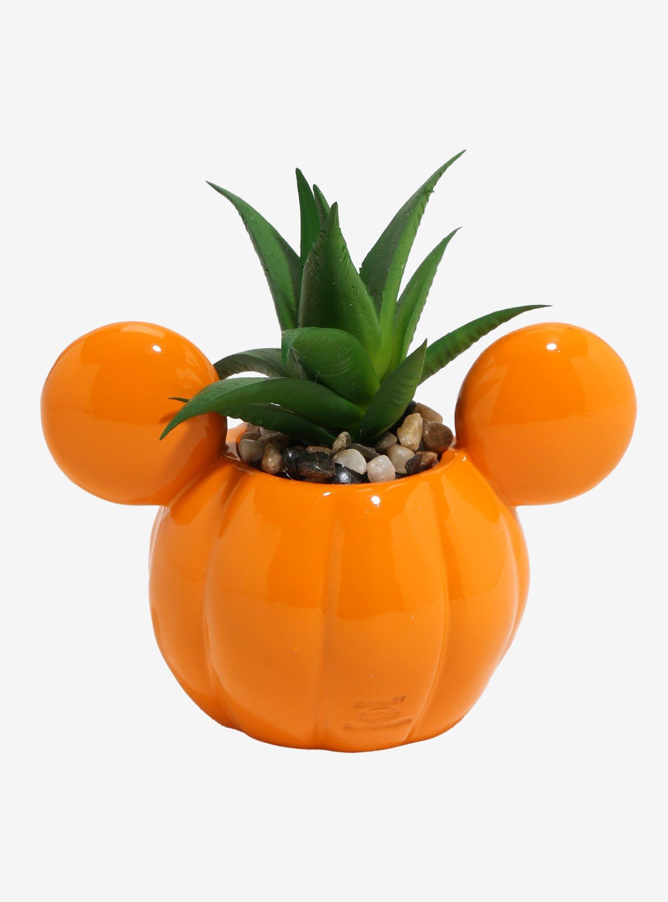 Disney Mickey Mouse Pumpkin Light-Up Faux Succulent Planter, , alternate