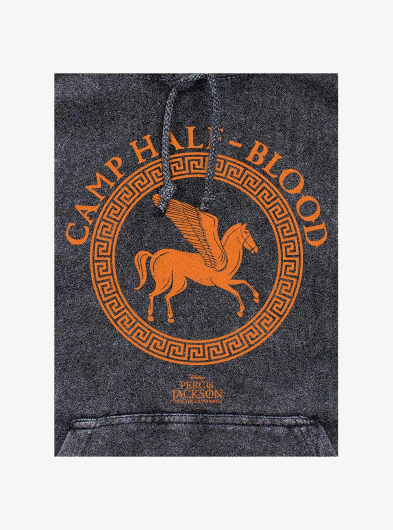 Disney Percy Jackson And The Olympians Camp Half Blood Icon Logo Sweatshirt, , hi-res