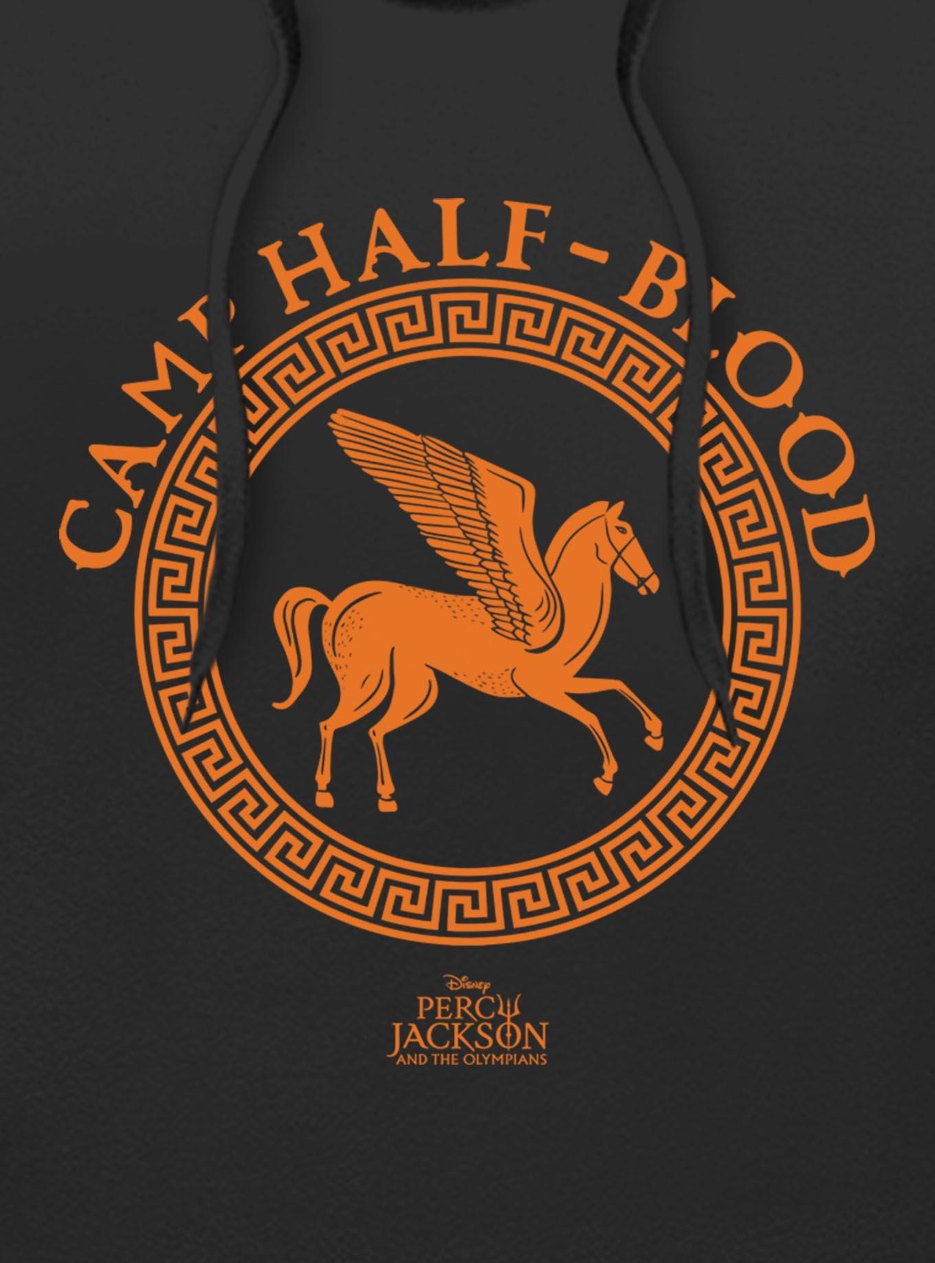 Disney Percy Jackson And The Olympians Camp Half Blood Icon Logo Hoodie