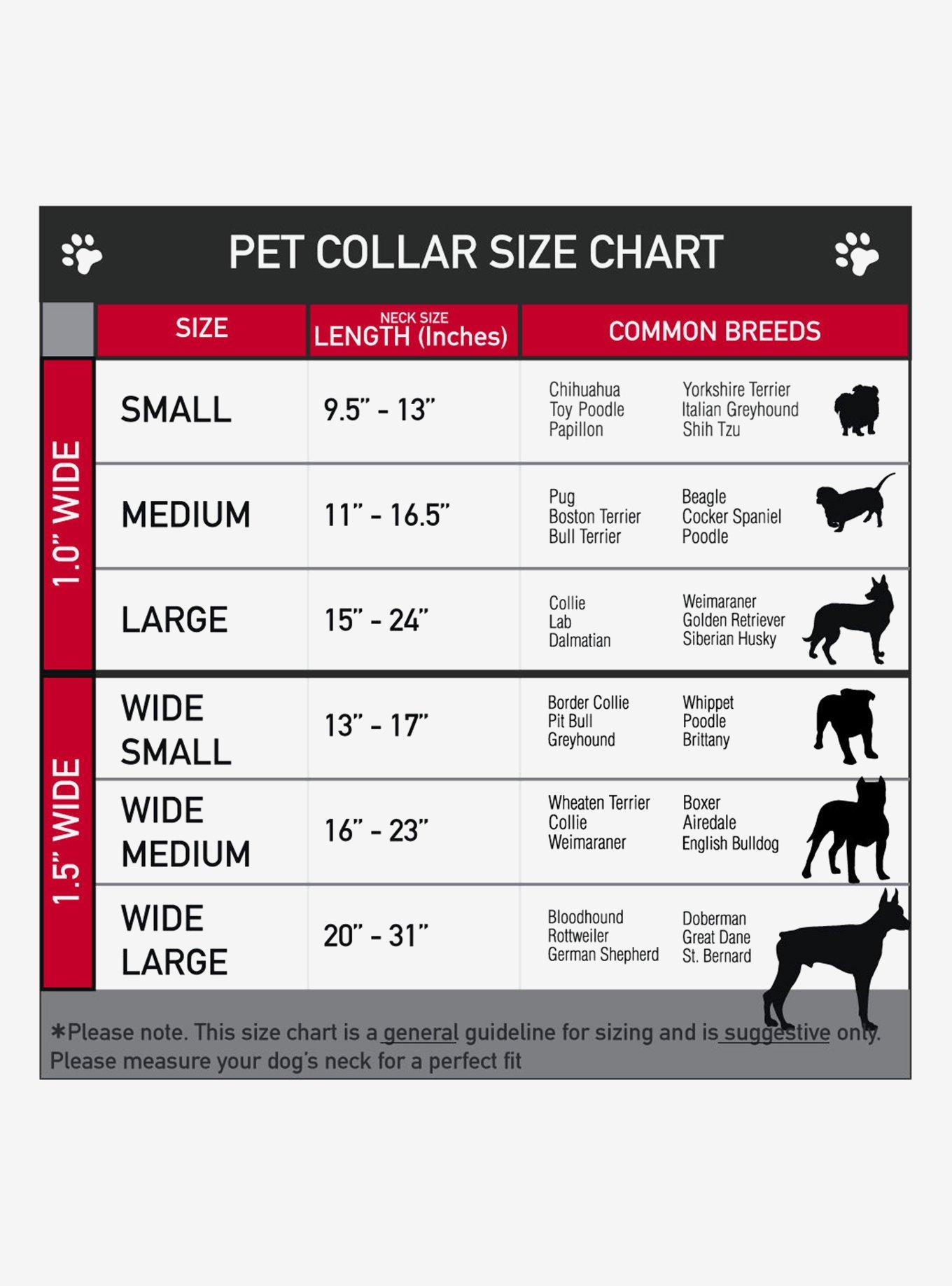 The Flintstones Cocoa Pebbs & Scattered Seatbelt Buckle Dog Collar, BRIGHT WHITE, alternate