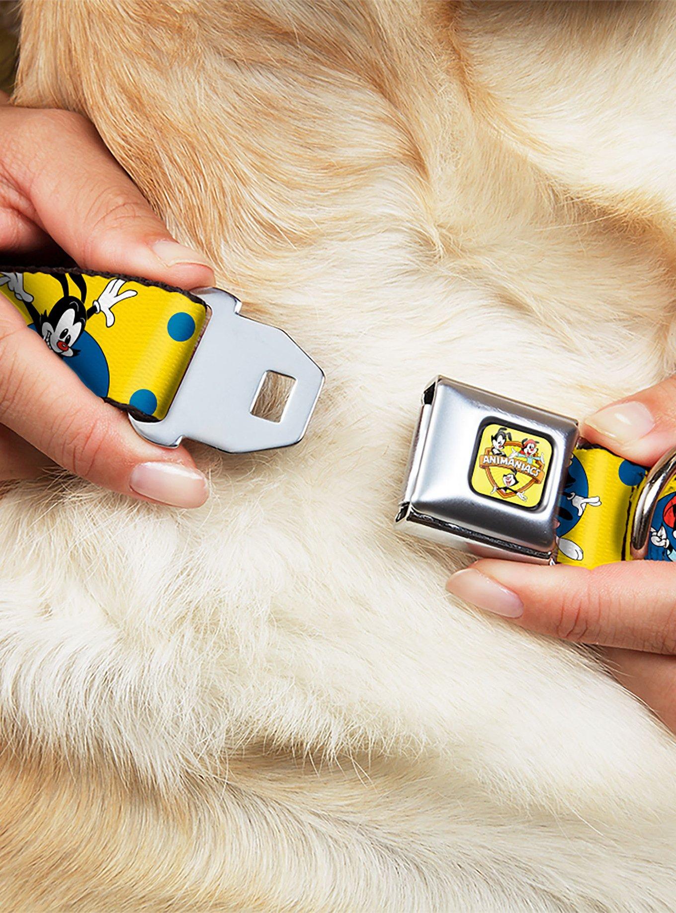 Animaniacs Yakko Wakko and Dot Poses Seatbelt Buckle Dog Collar, , hi-res