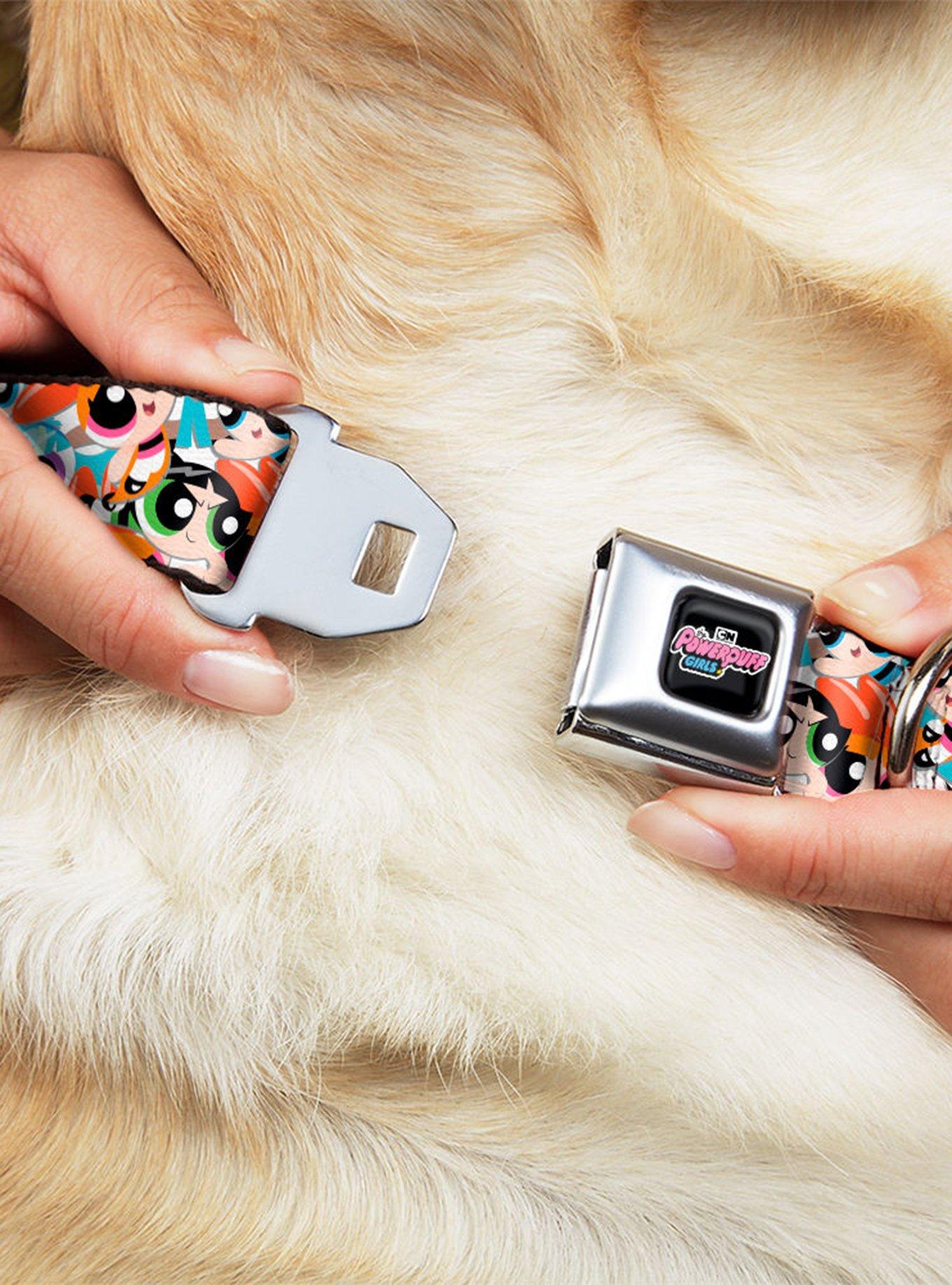 The Powerpuff Girls Expressions Stacked Seatbelt Buckle Dog Collar, , alternate