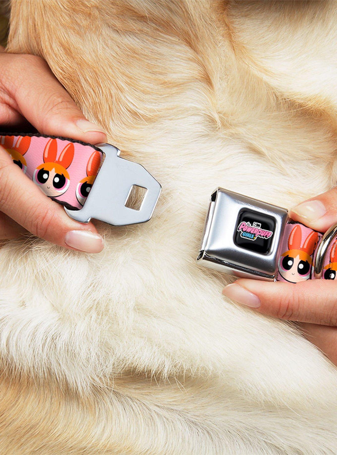 The Powerpuff Girls Blossom Face Close Up Seatbelt Buckle Dog Collar