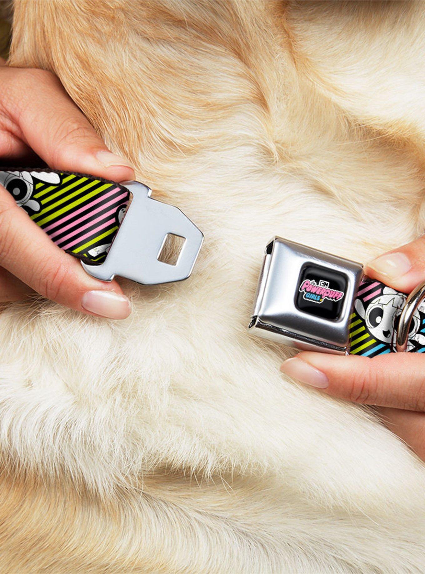 The Powerpuff Girls and Donny Stripe Seatbelt Buckle Dog Collar, , hi-res