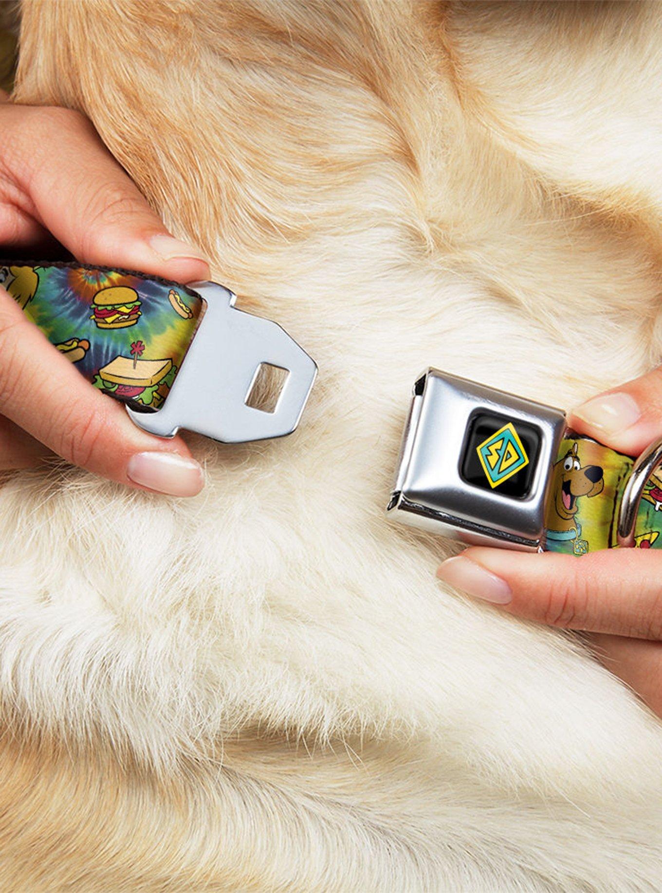 Scooby-Doo! Shaggy Poses Munchies Tie Dye Seatbelt Buckle Dog Collar, MULTI, alternate