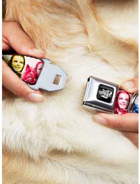 The Wizard of Oz Dorothy and Toto Pose Blues Seatbelt Buckle Dog Collar, , hi-res