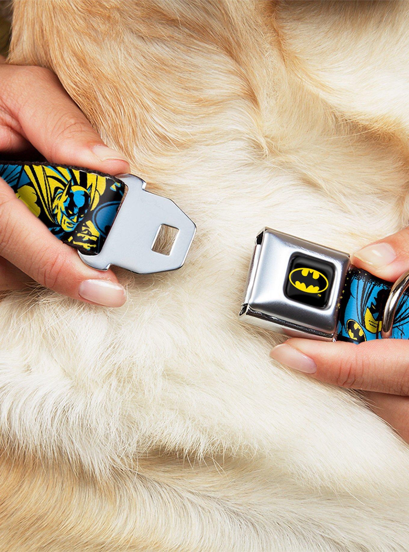 DC Comics Batman Poses and Logo Collage Seatbelt Buckle Dog Collar, BLUE, alternate