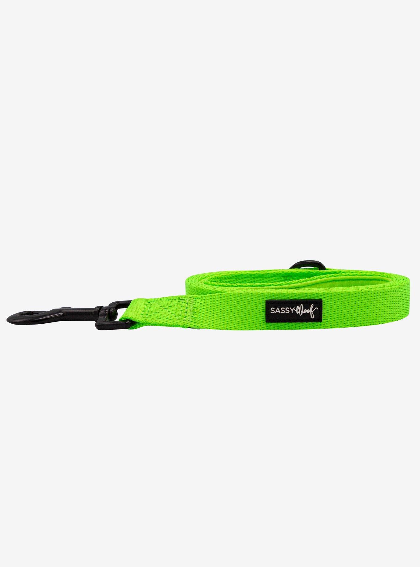 Sassy Woof Neon Green Dog Leash, , alternate