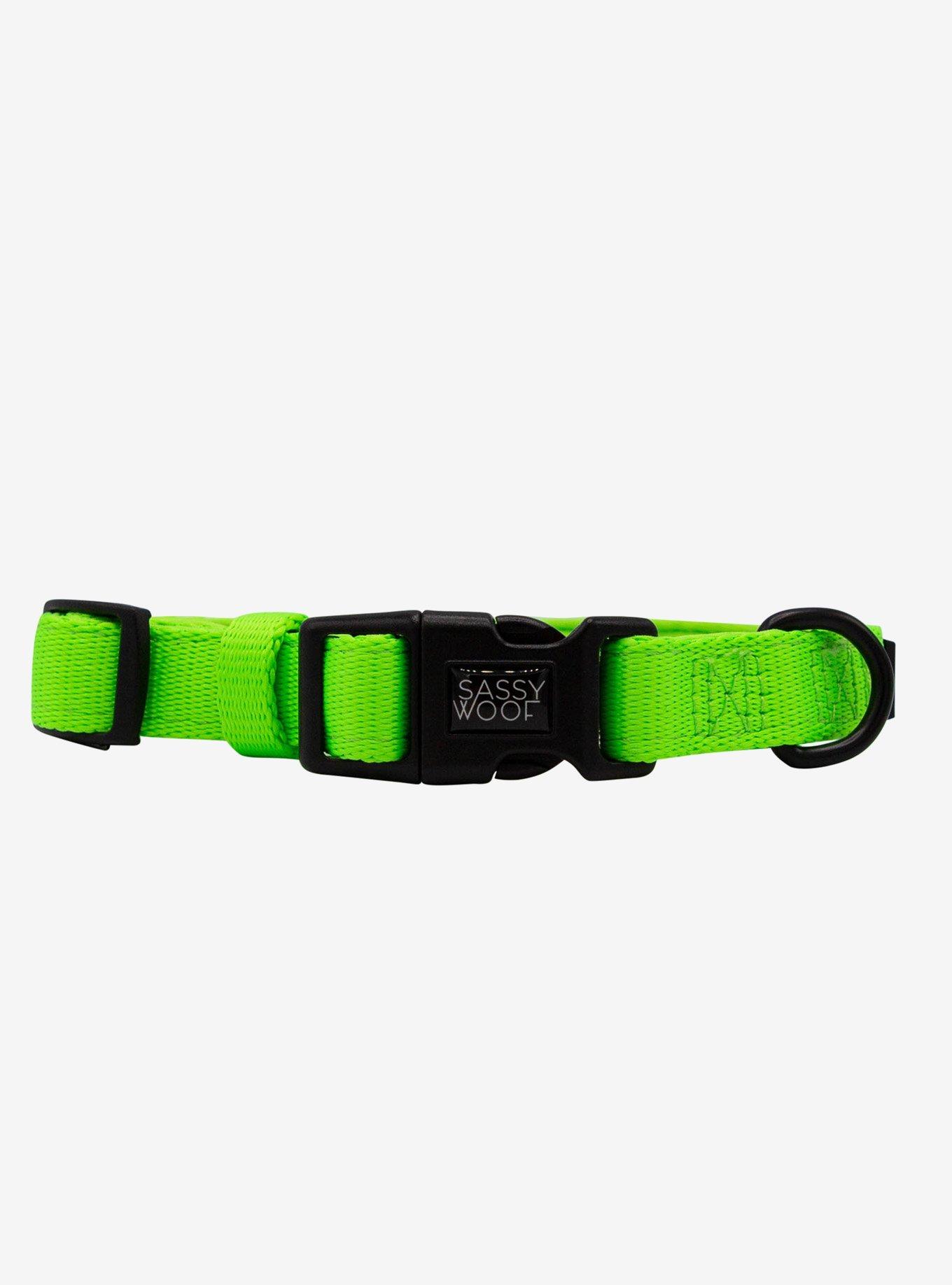 Sassy Woof Neon Green Dog Walk Bundle, GREEN, alternate