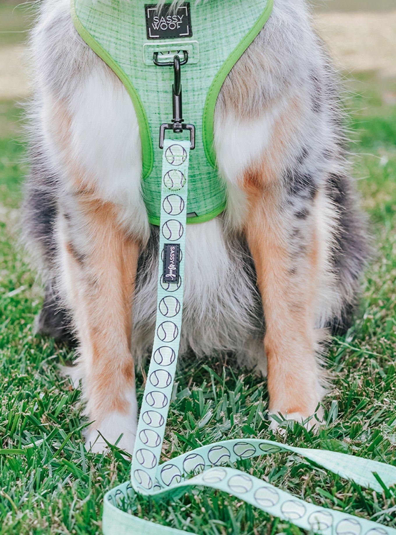 Sassy Woof Serving Up Sass Dog Harness and Leash Bundle, GREEN, alternate