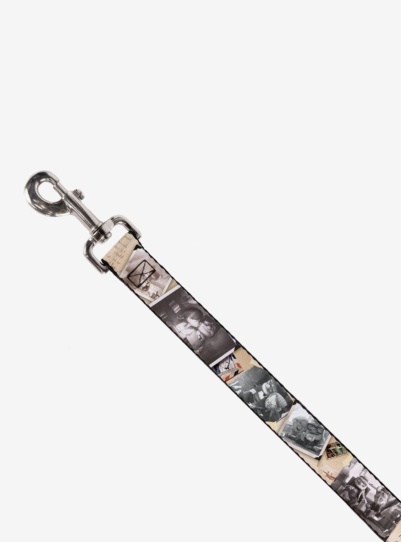 Disney Up Adventure Book Snapshots Post Cards Dog Leash, BEIGE, alternate
