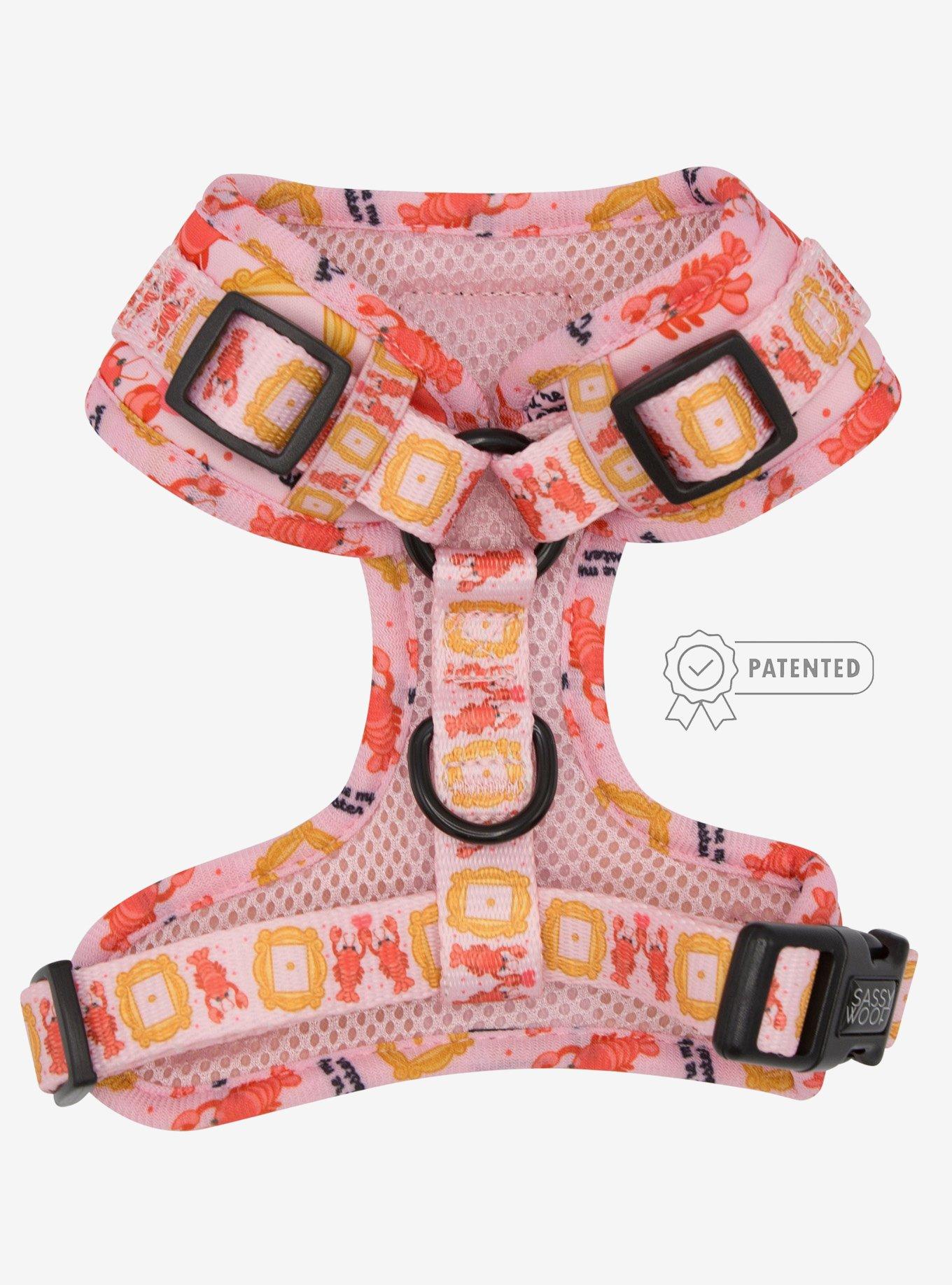 Friends x Sassy Woof You're My Lobster Adjustable Dog Harness, , hi-res