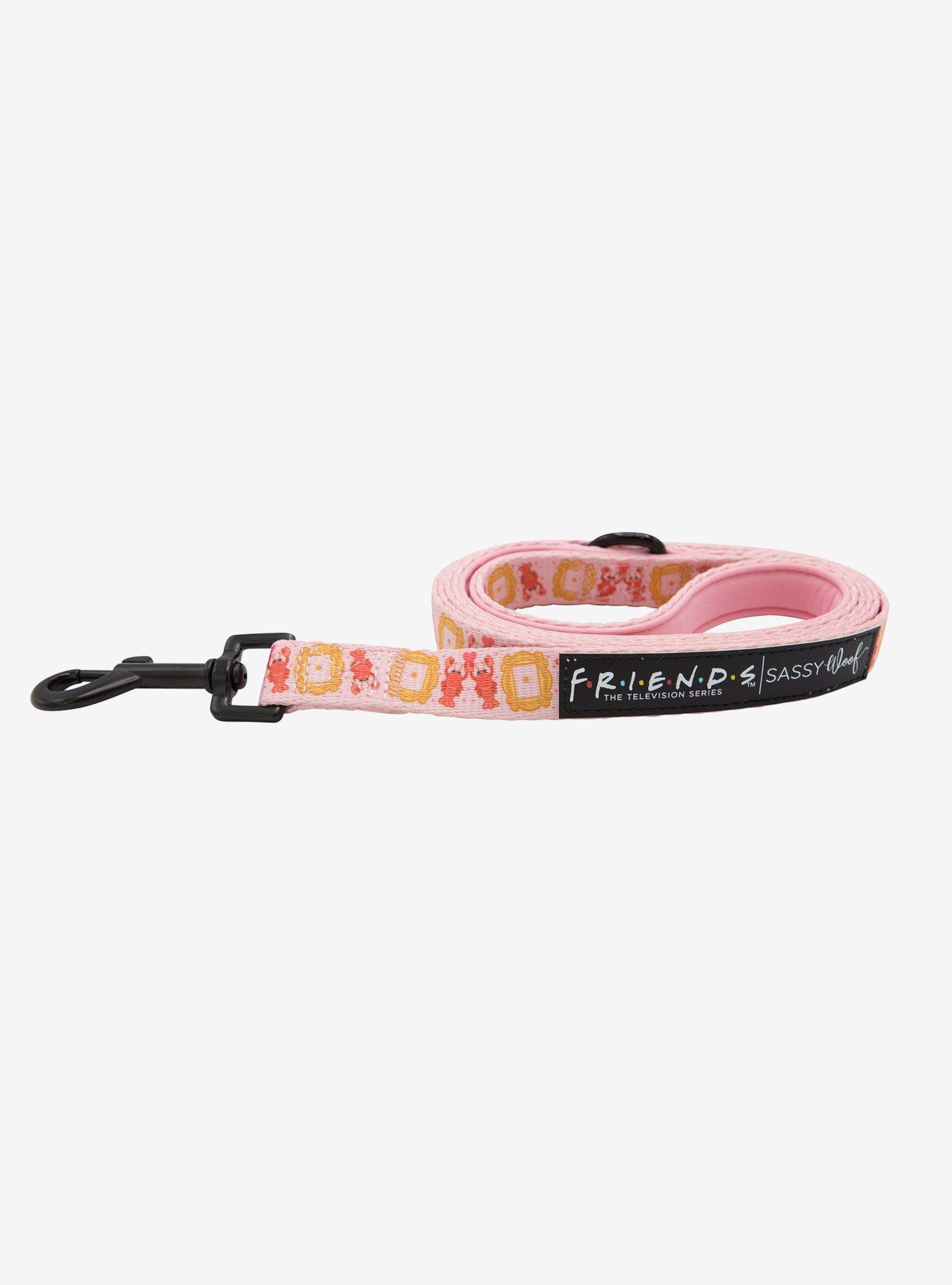 Friends x Sassy Woof You're My Lobster Dog Leash, , hi-res