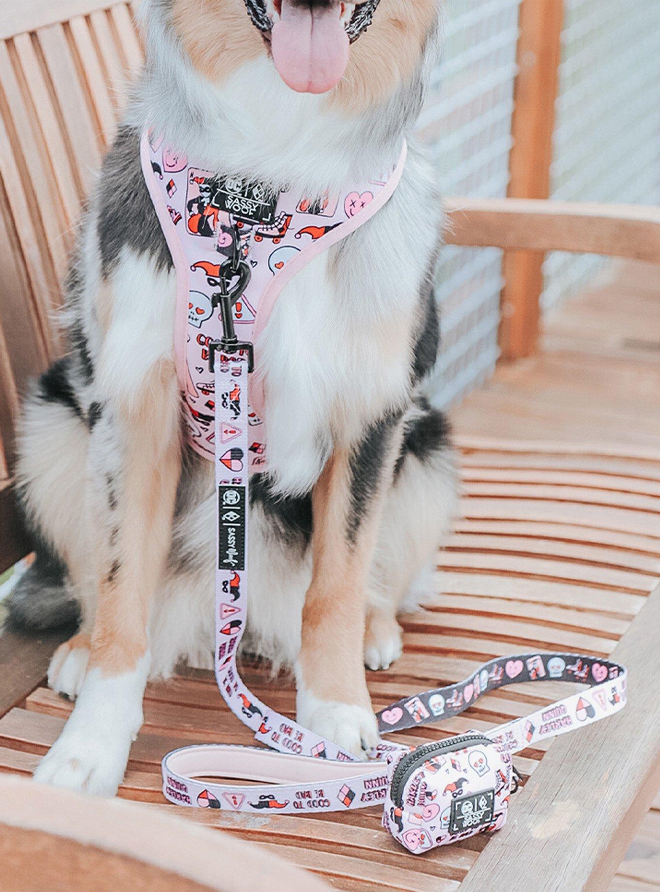 DC Comics Harley Quinn x Sassy Woof Dog Leash