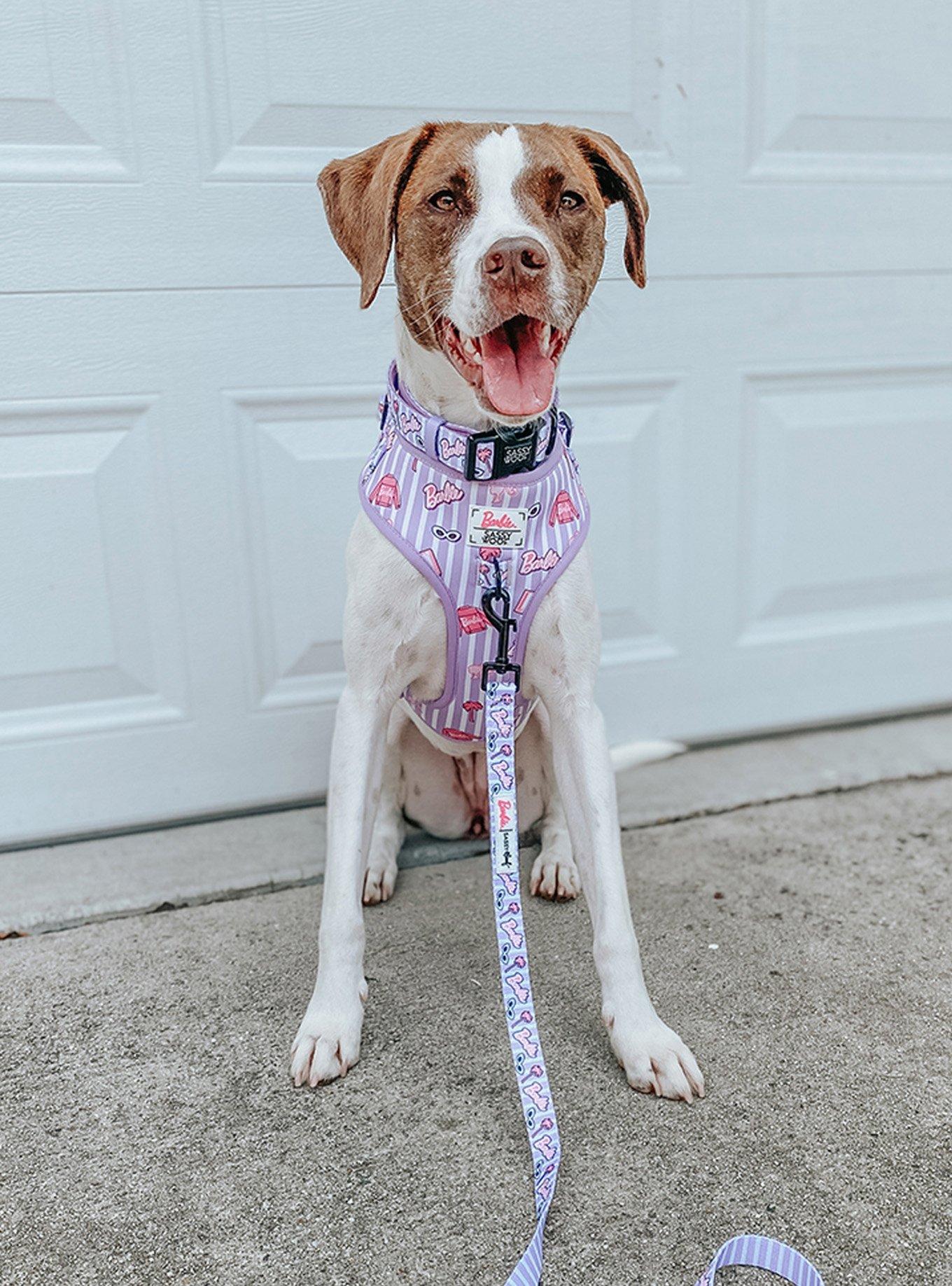 Barbie x Sassy Woof Closet Goals Adjustable Dog Harness, PURPLE, alternate