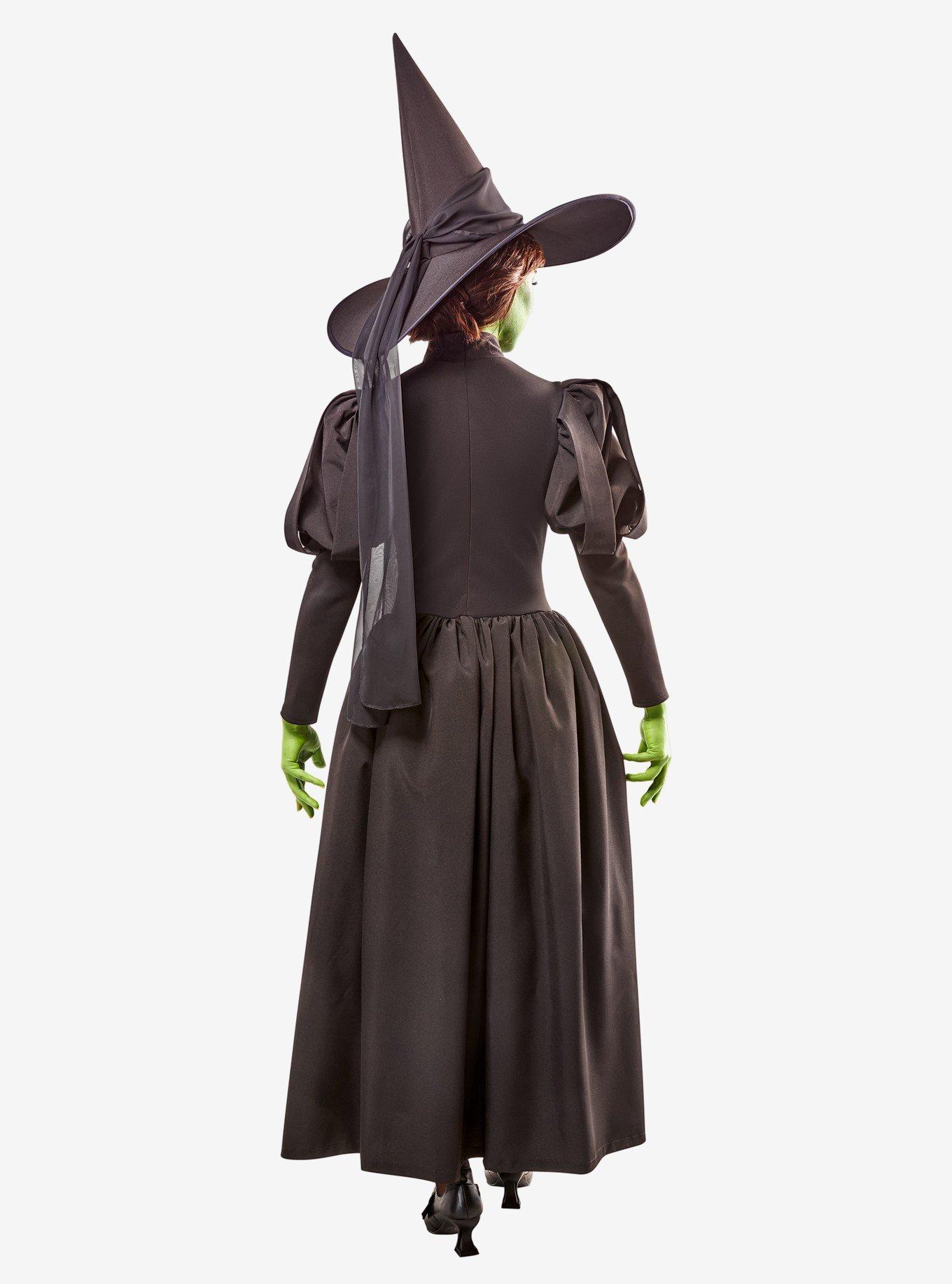 The Wizard of Oz Deluxe Wicked Witch Adult Costume, BLACK, alternate