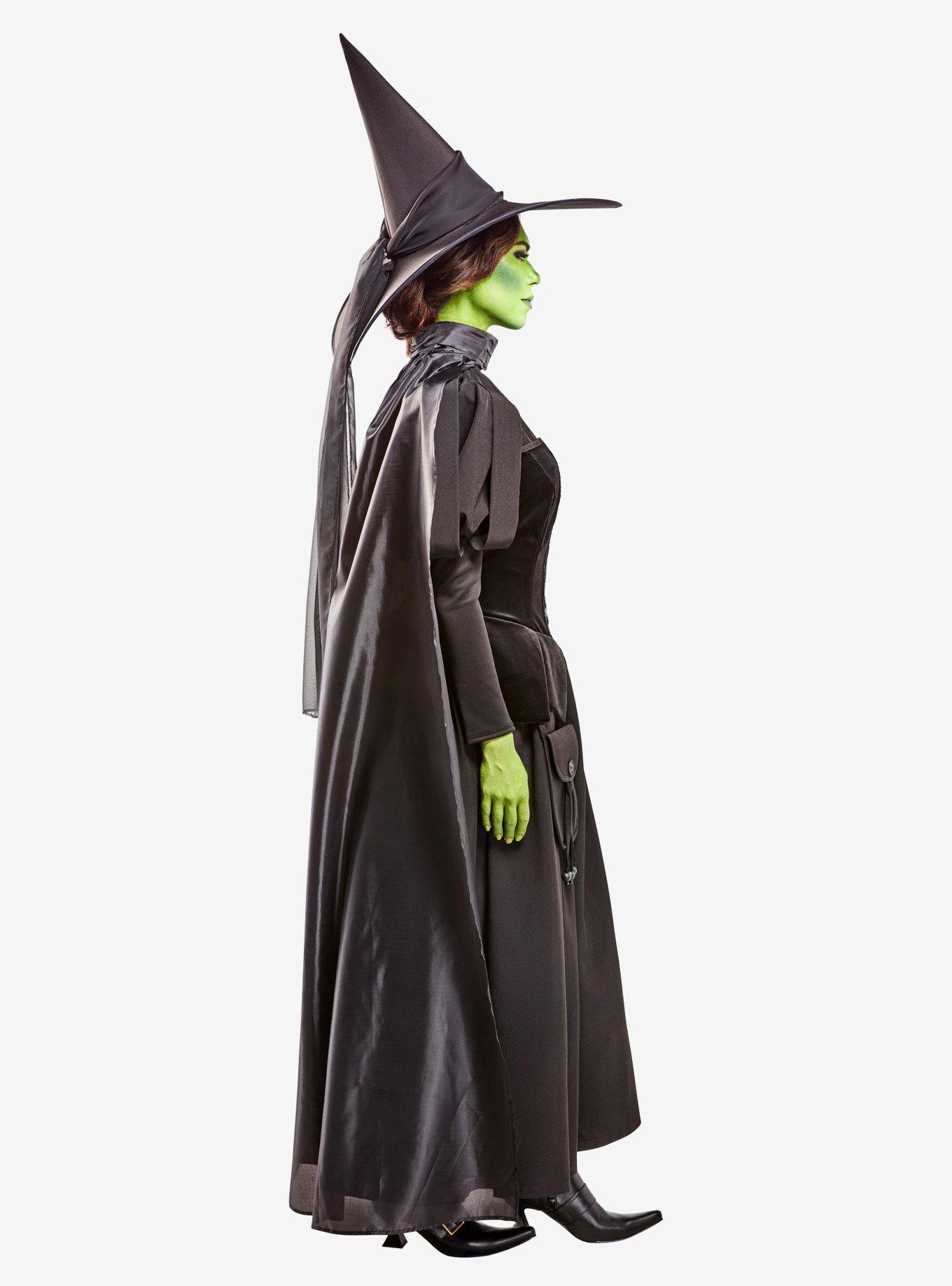 The Wizard of Oz Deluxe Wicked Witch Adult Costume, BLACK, alternate