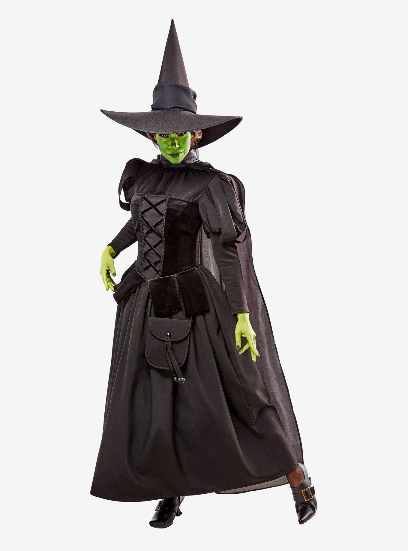 The Wizard of Oz Deluxe Wicked Witch Adult Costume, BLACK, alternate