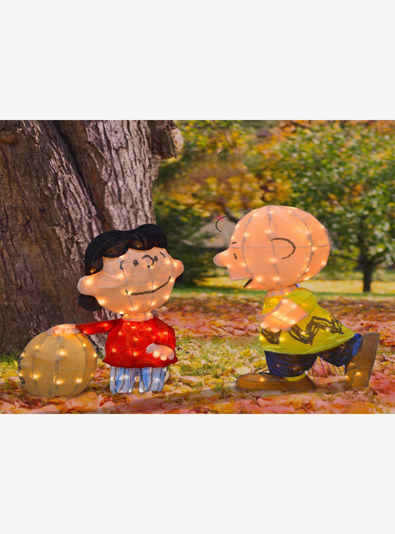 Peanuts Lucy and Charlie Brown PreLit LED 3D Yard Decor, , hi-res