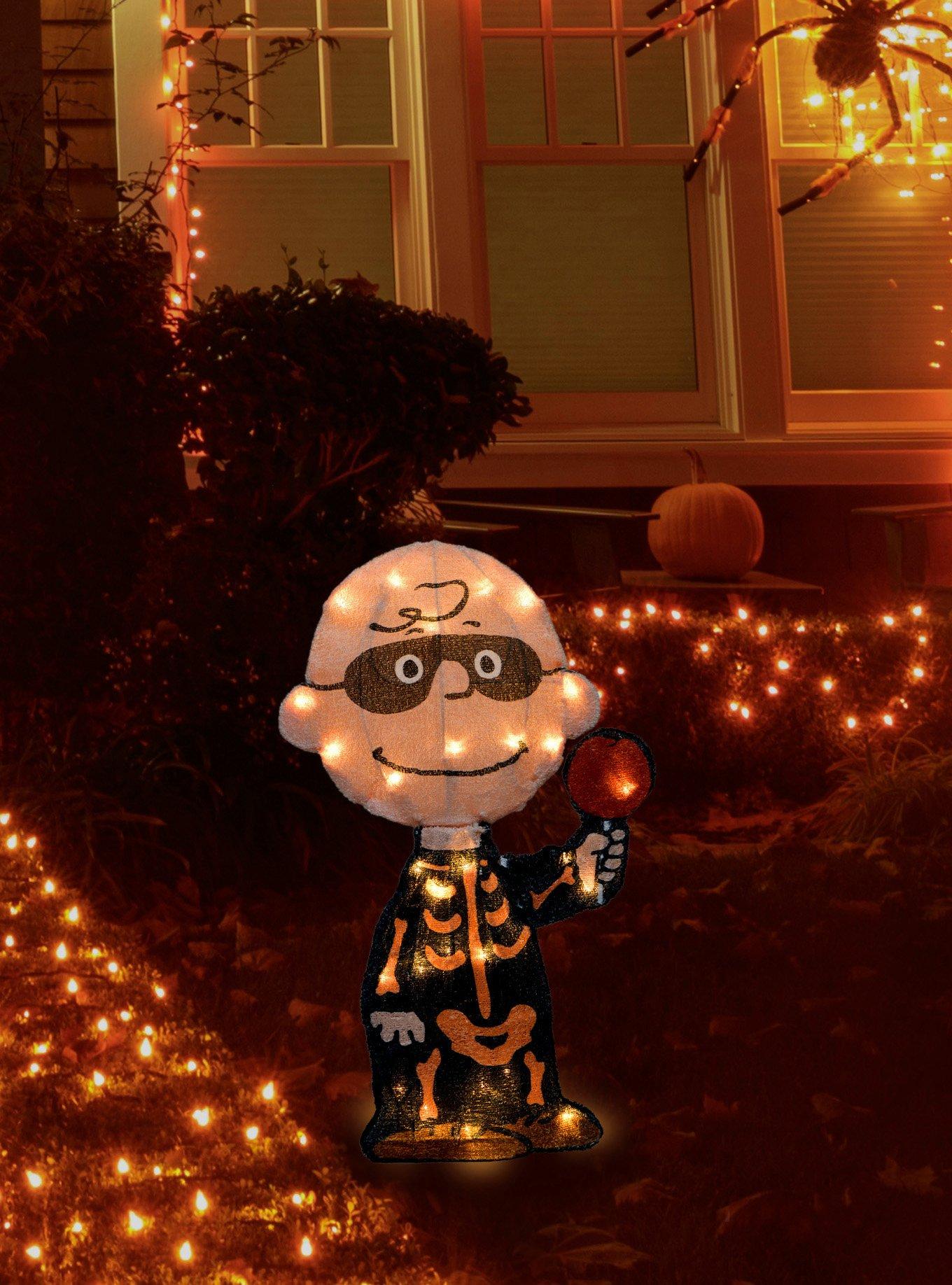 Peanuts Charlie Brown Bones LED PreLit Yard Decor, , hi-res