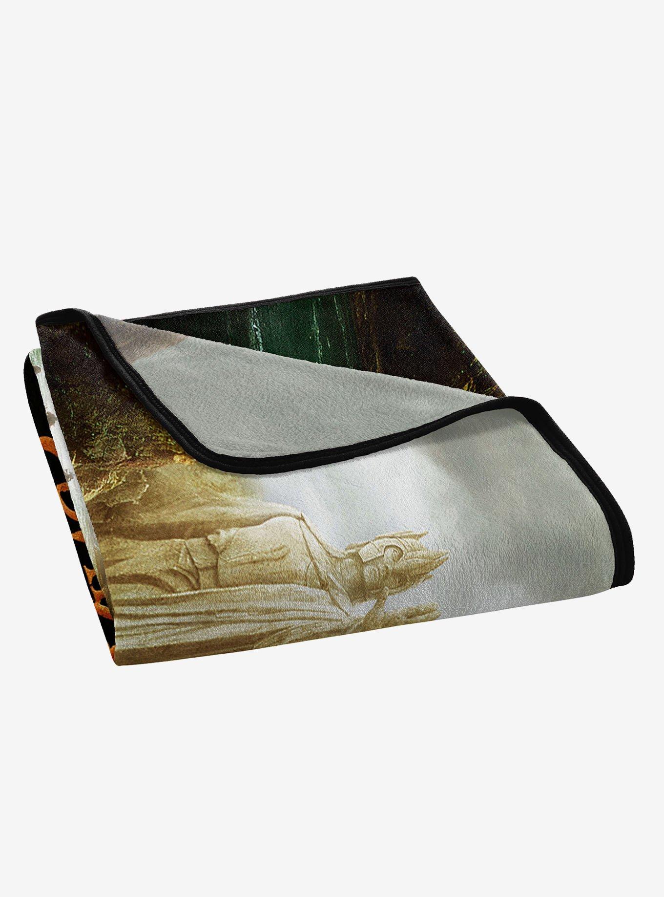 Lord of The Rings Legend Micro Raschel Throw, , alternate