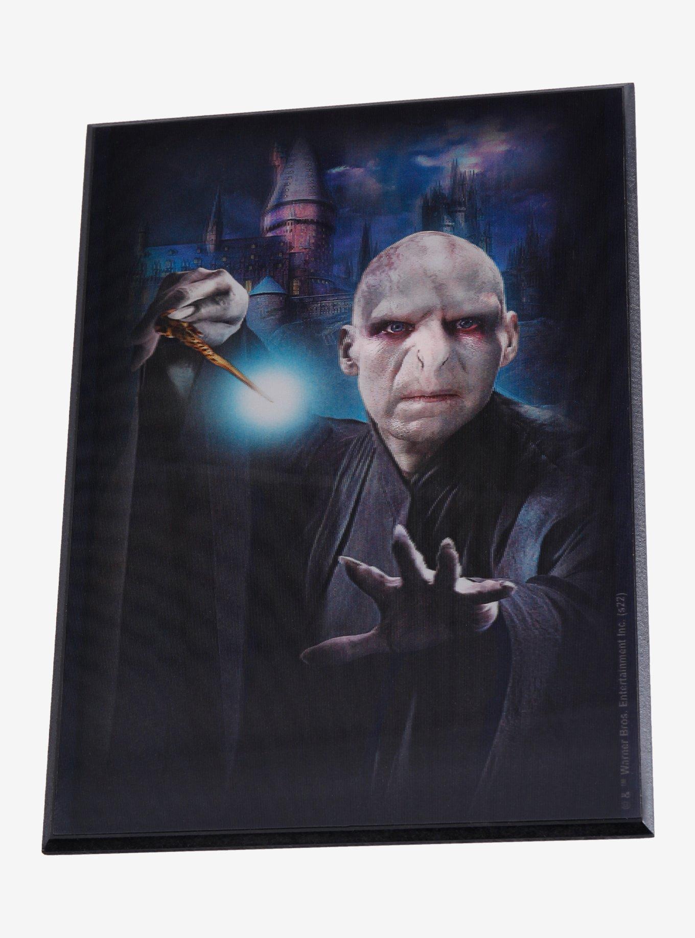 Harry Potter Voldemort Lenticular Wall Art, , hi-res