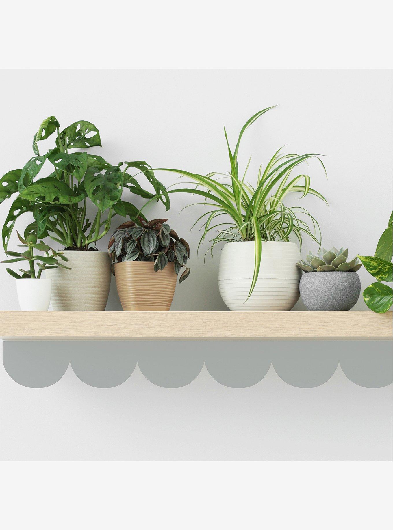 Grey Peel & Stick Scallop Border Decal, , alternate