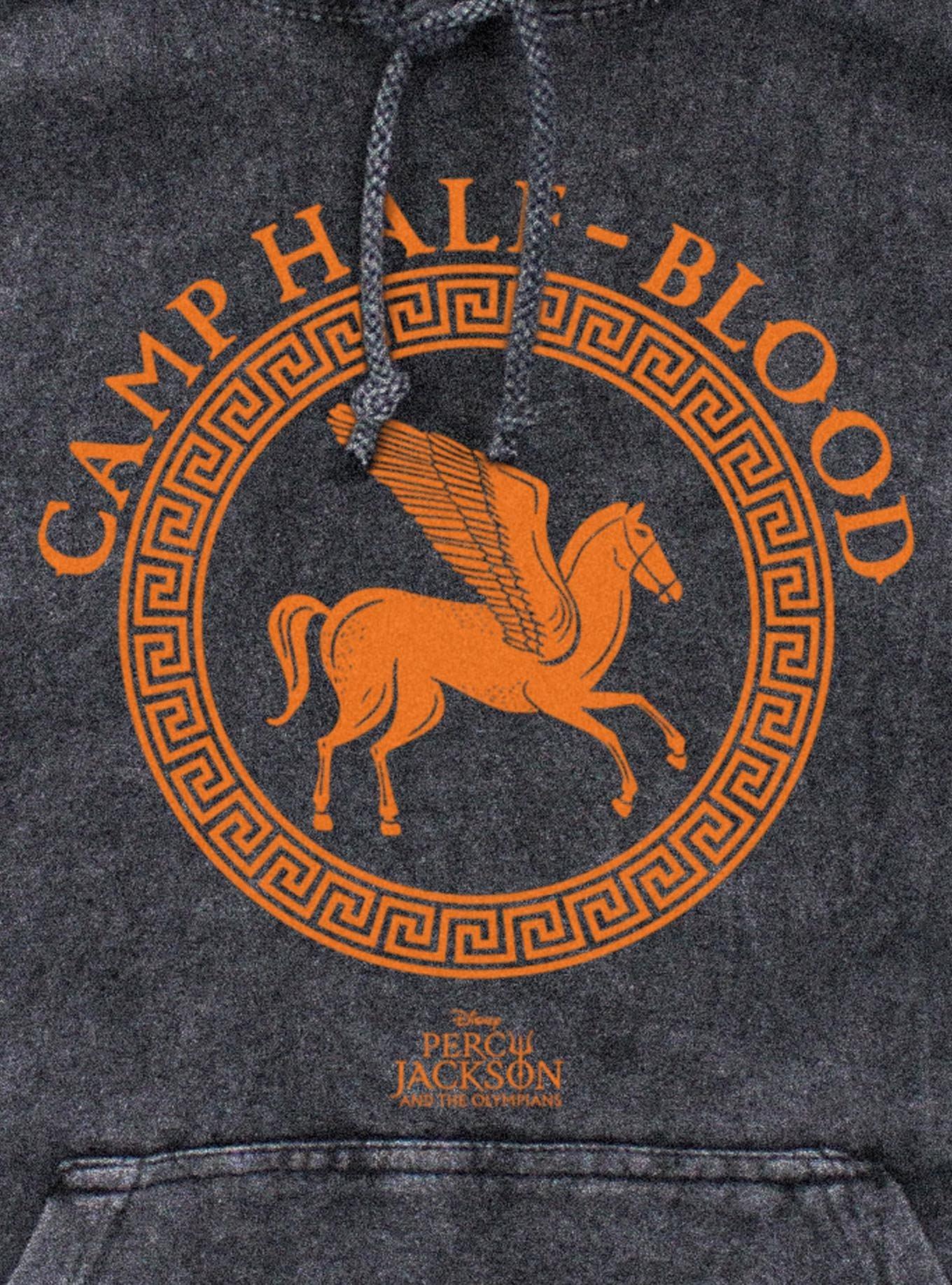 Percy Jackson And The Olympians Camp Half Blood Mineral Wash Hoodie, , hi-res