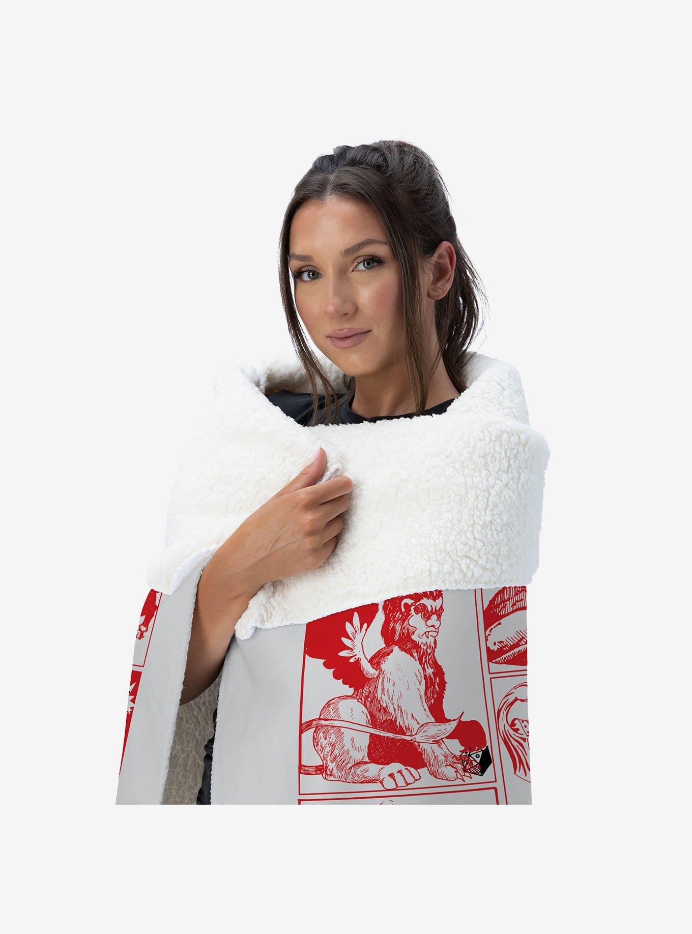 Dungeons & Dragons Characters Silk Touch Sherpa Throw Blanket, , hi-res