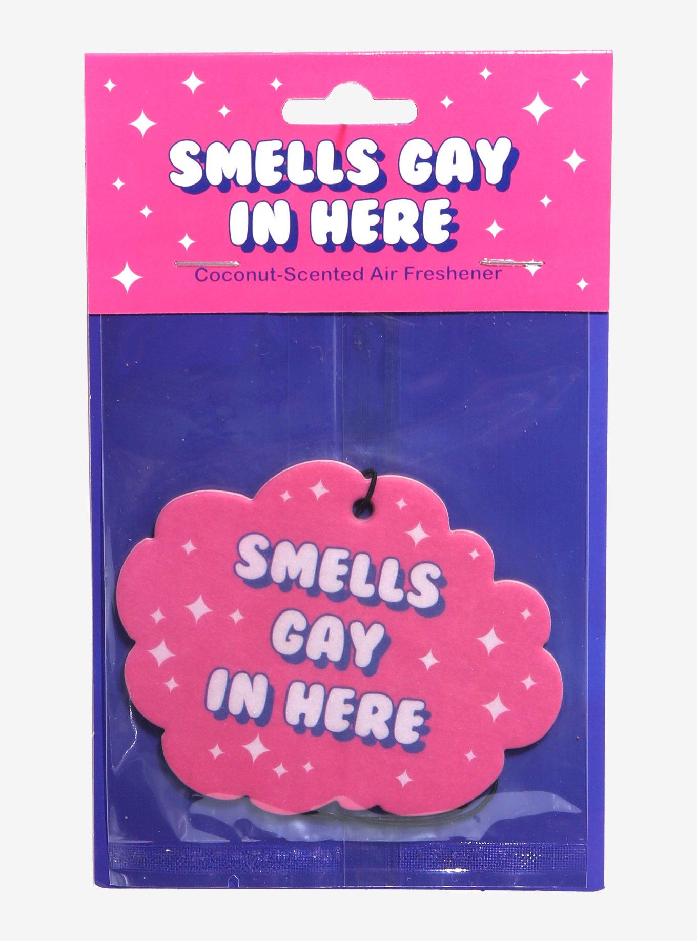 Smells Gay In Here Air Freshener, , hi-res