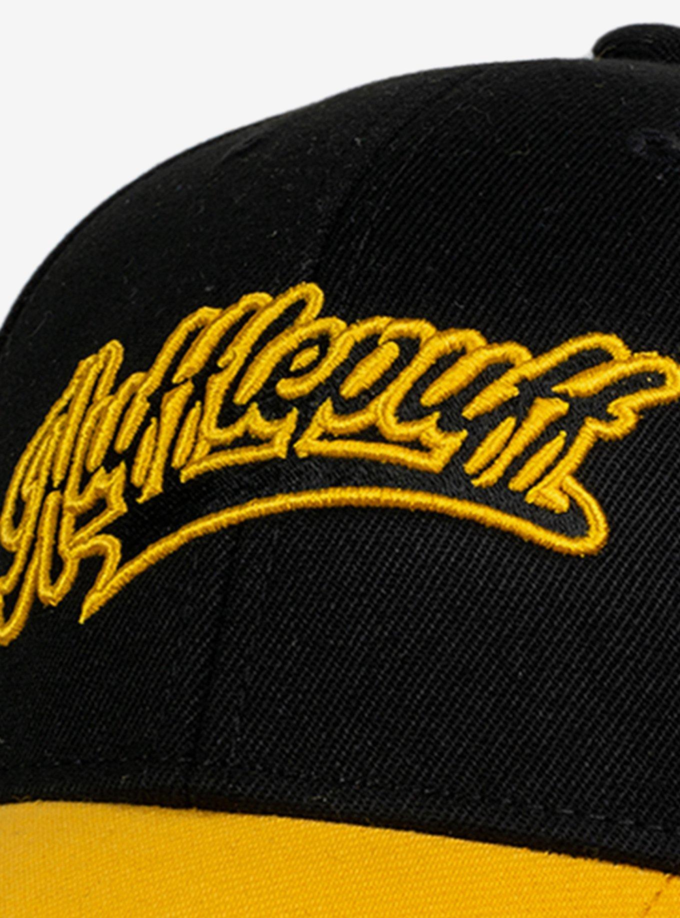 Harry Potter Hufflepuff Tail Dad Cap, , alternate