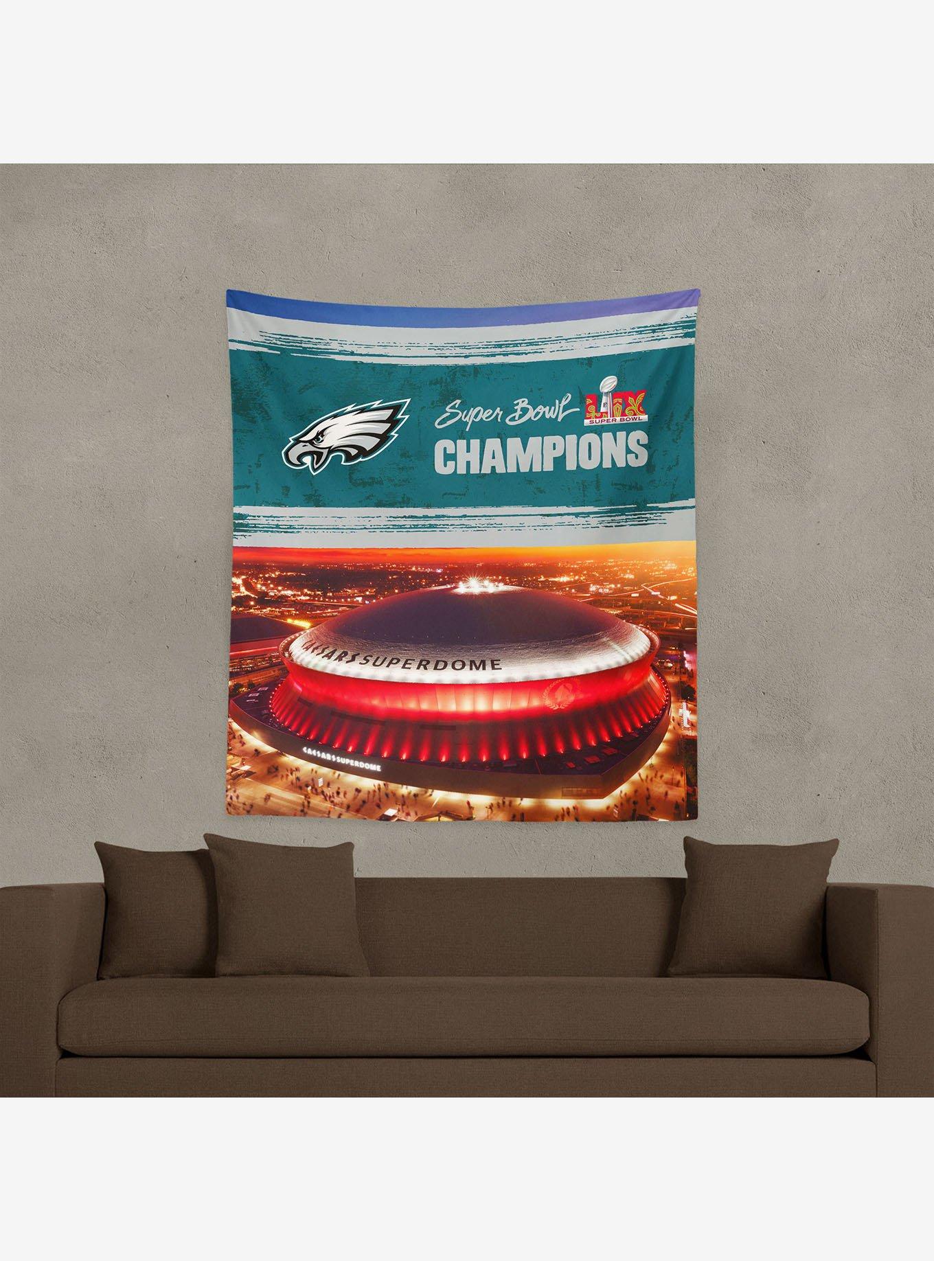 NFL 2025 Super Bowl LIX Philadelphia Eagles Dome 50x60" Wall Hanging, , alternate