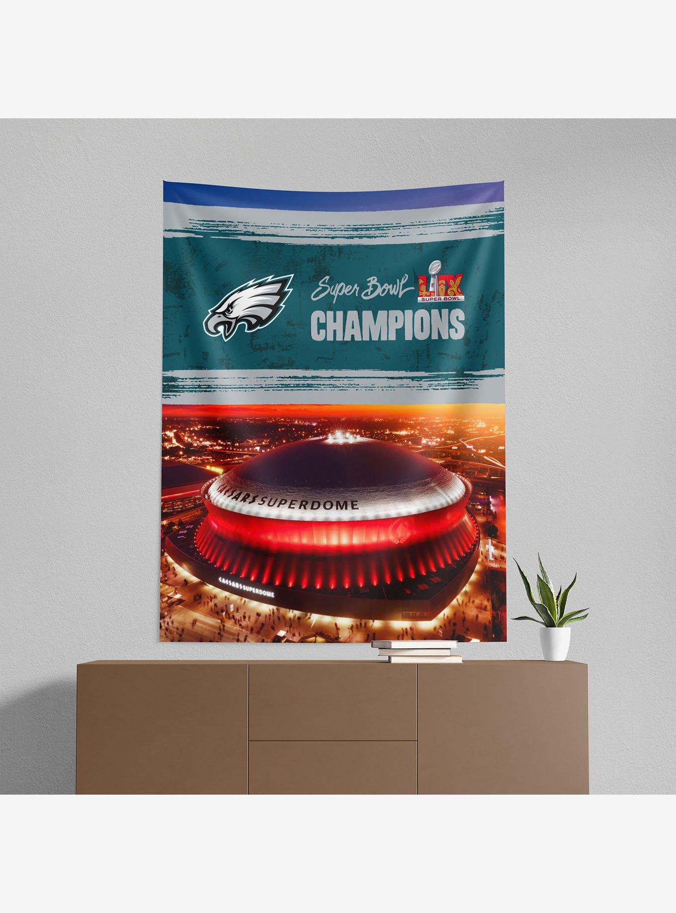 NFL 2025 Super Bowl LIX Philadelphia Eagles Dome 50x60" Wall Hanging, , alternate
