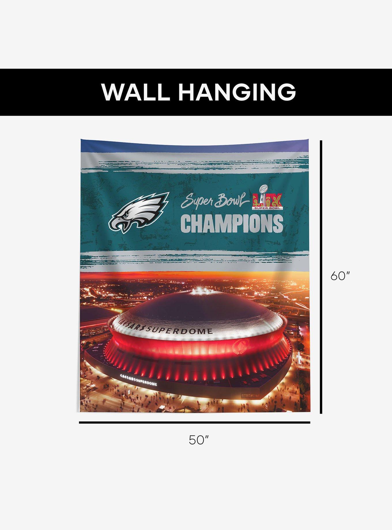 NFL 2025 Super Bowl LIX Philadelphia Eagles Dome 50x60" Wall Hanging, , alternate