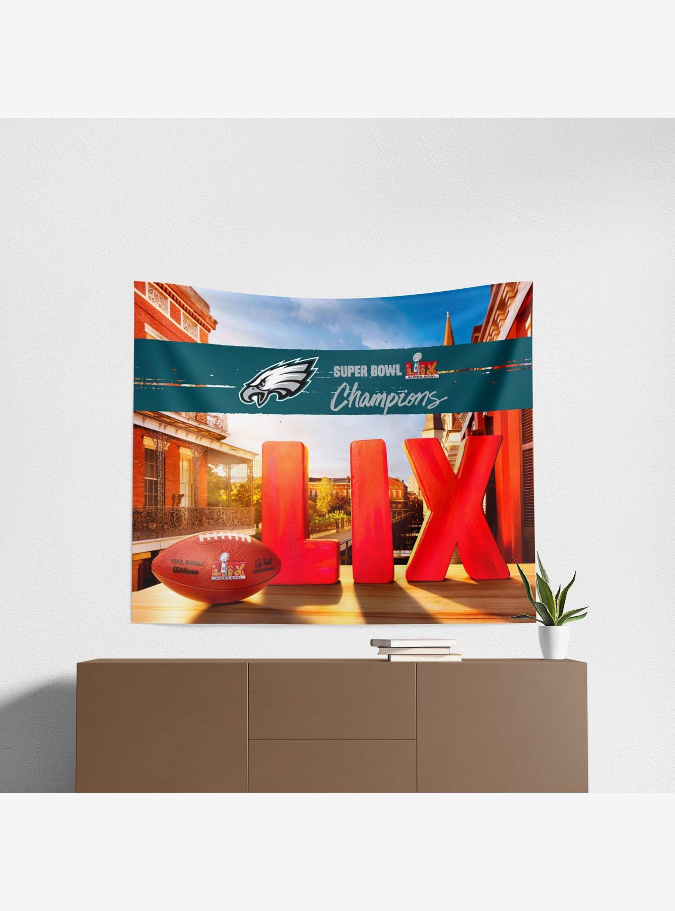 NFL 2025 Super Bowl LIX Philadelphia Eagles Dome 34x40" Wall Hanging, , alternate
