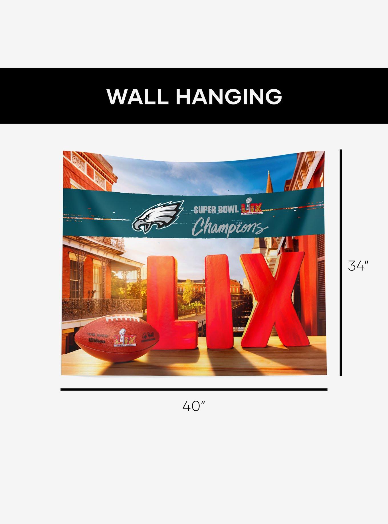 NFL 2025 Super Bowl LIX Philadelphia Eagles Dome 34x40" Wall Hanging, , alternate