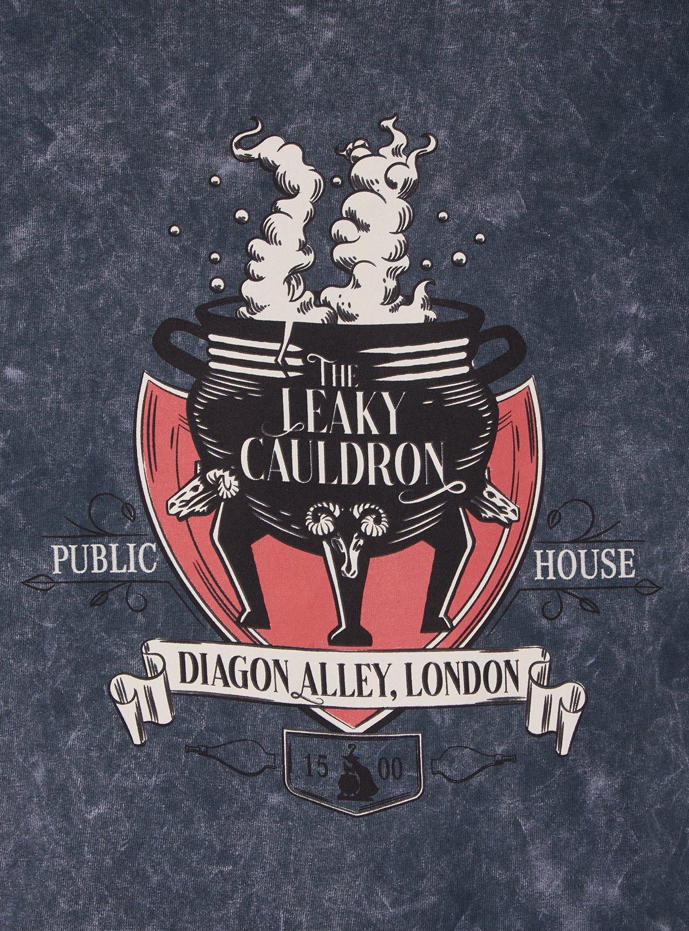 Harry Potter The Leaky Cauldron Logo Mineral Wash Women's Cropped T-Shirt - BoxLunch Exclusive, , hi-res