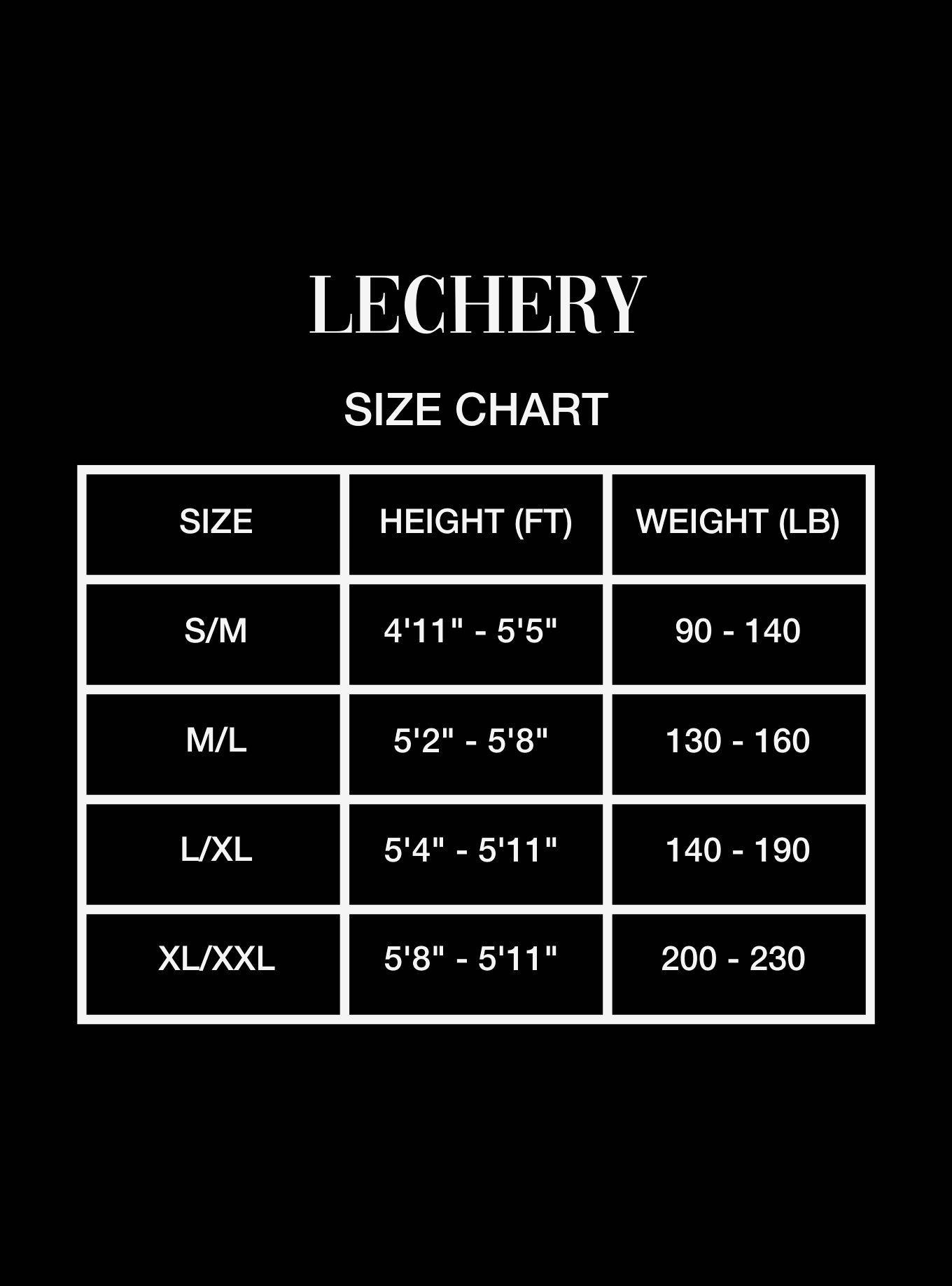 LECHERY Grey Lustrous Silky Shiny 20 Denier Tights, GREY, alternate