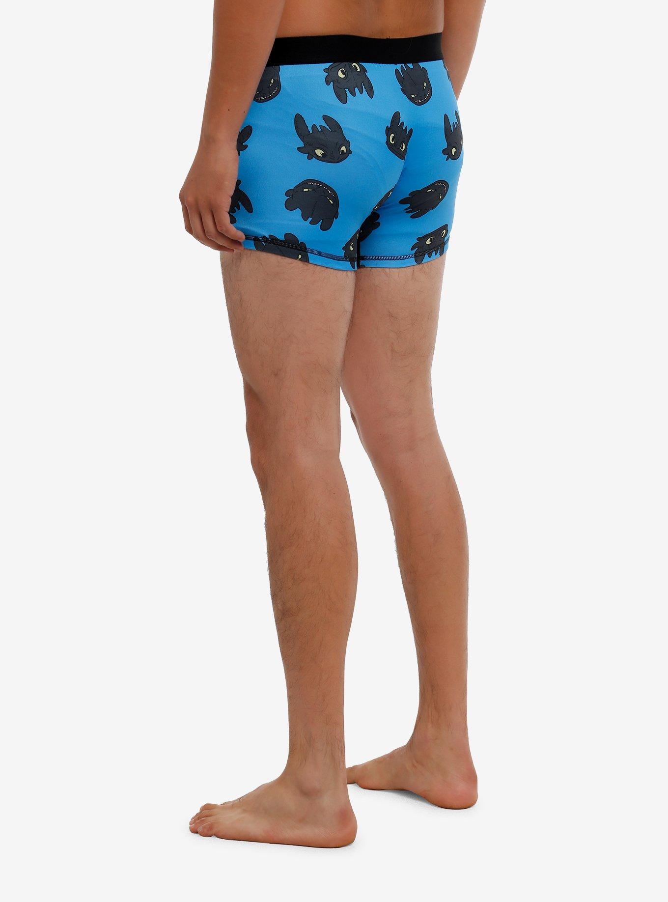 How To Train Your Dragon Toothless Boxer Briefs, , hi-res