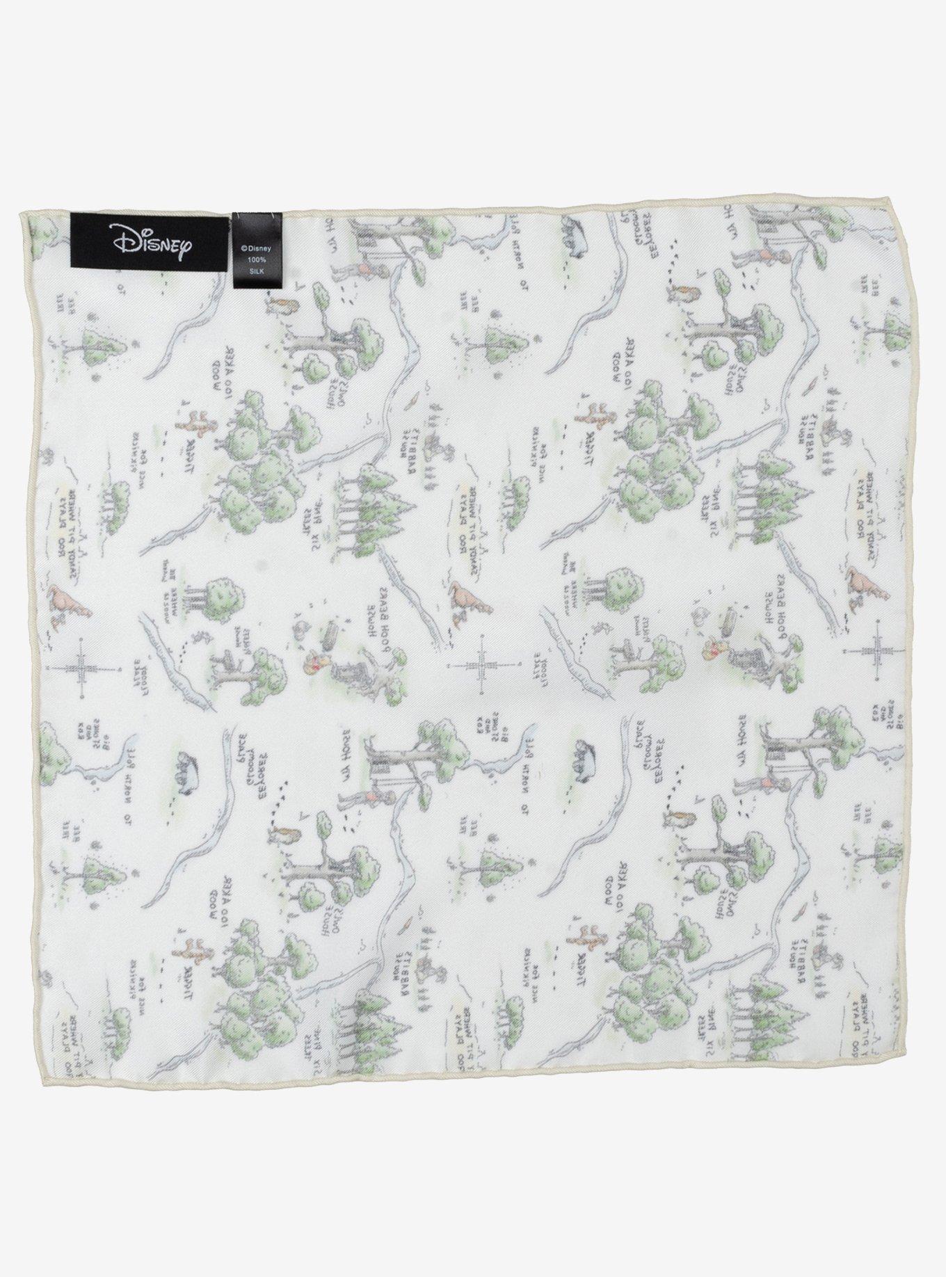 Disney Winnie The Pooh Map Pocket Square, , alternate