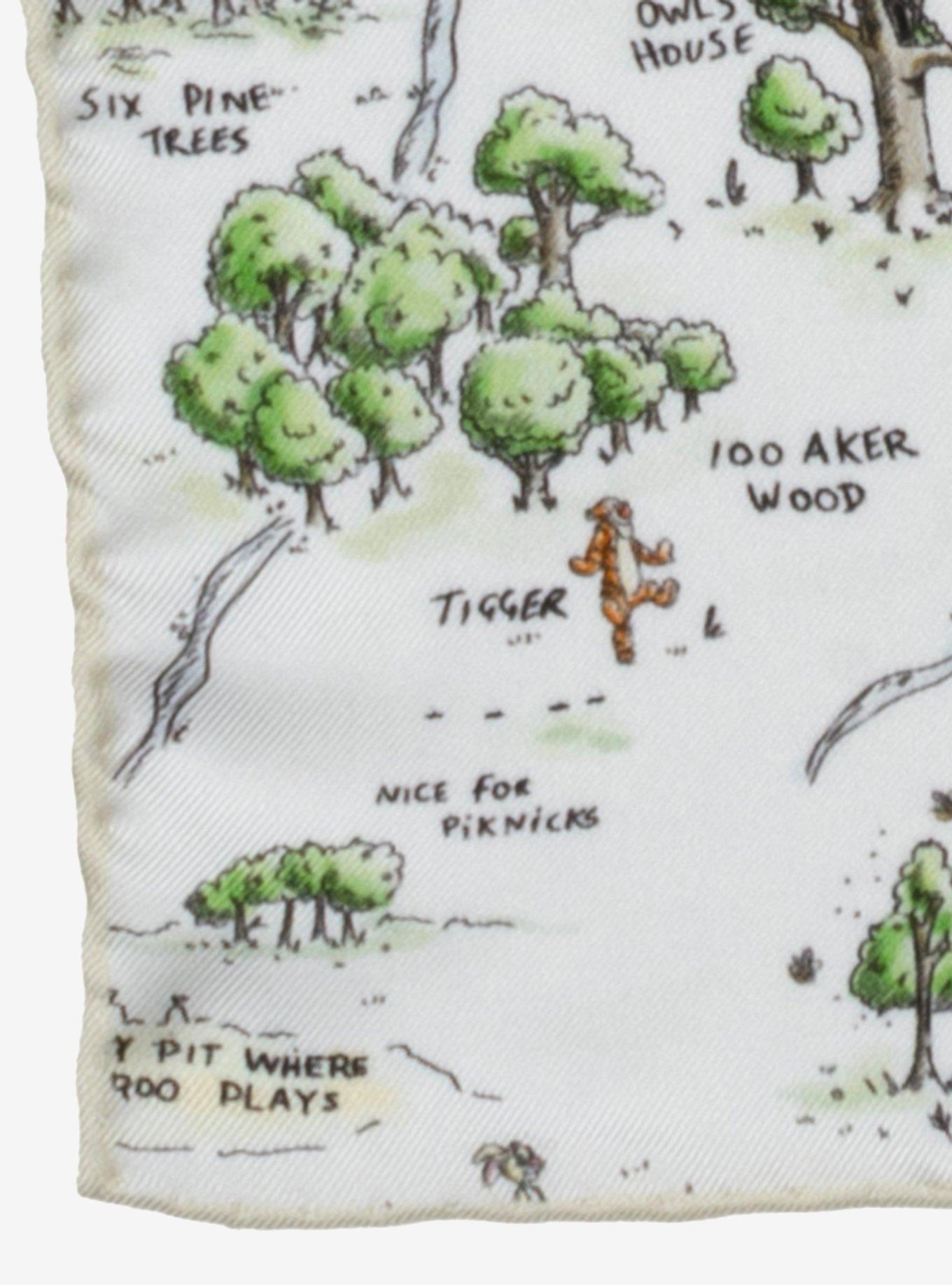 Disney Winnie The Pooh Map Pocket Square, , alternate