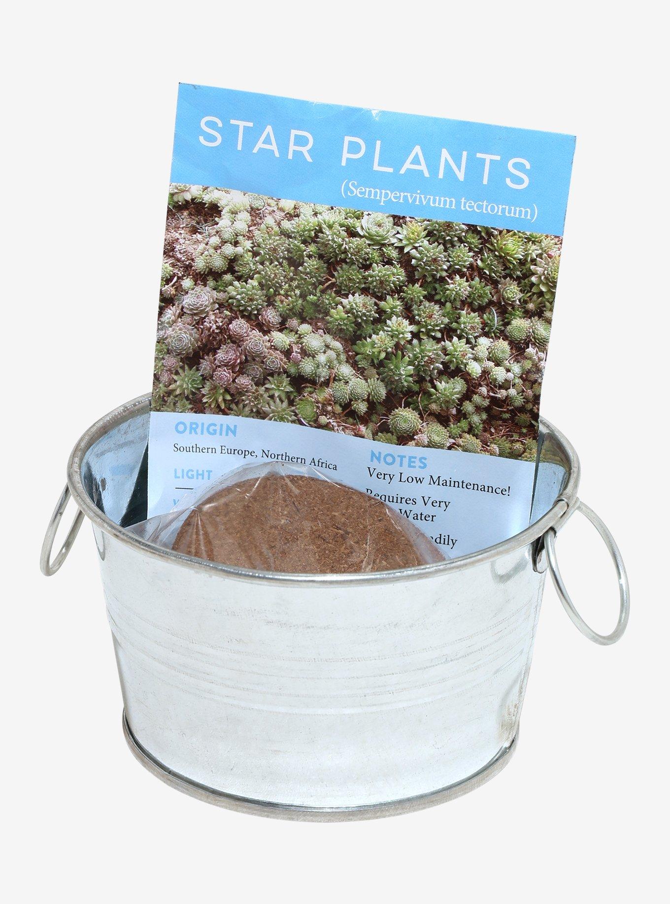 Pail of Peace Succulent Grow Kit, , hi-res
