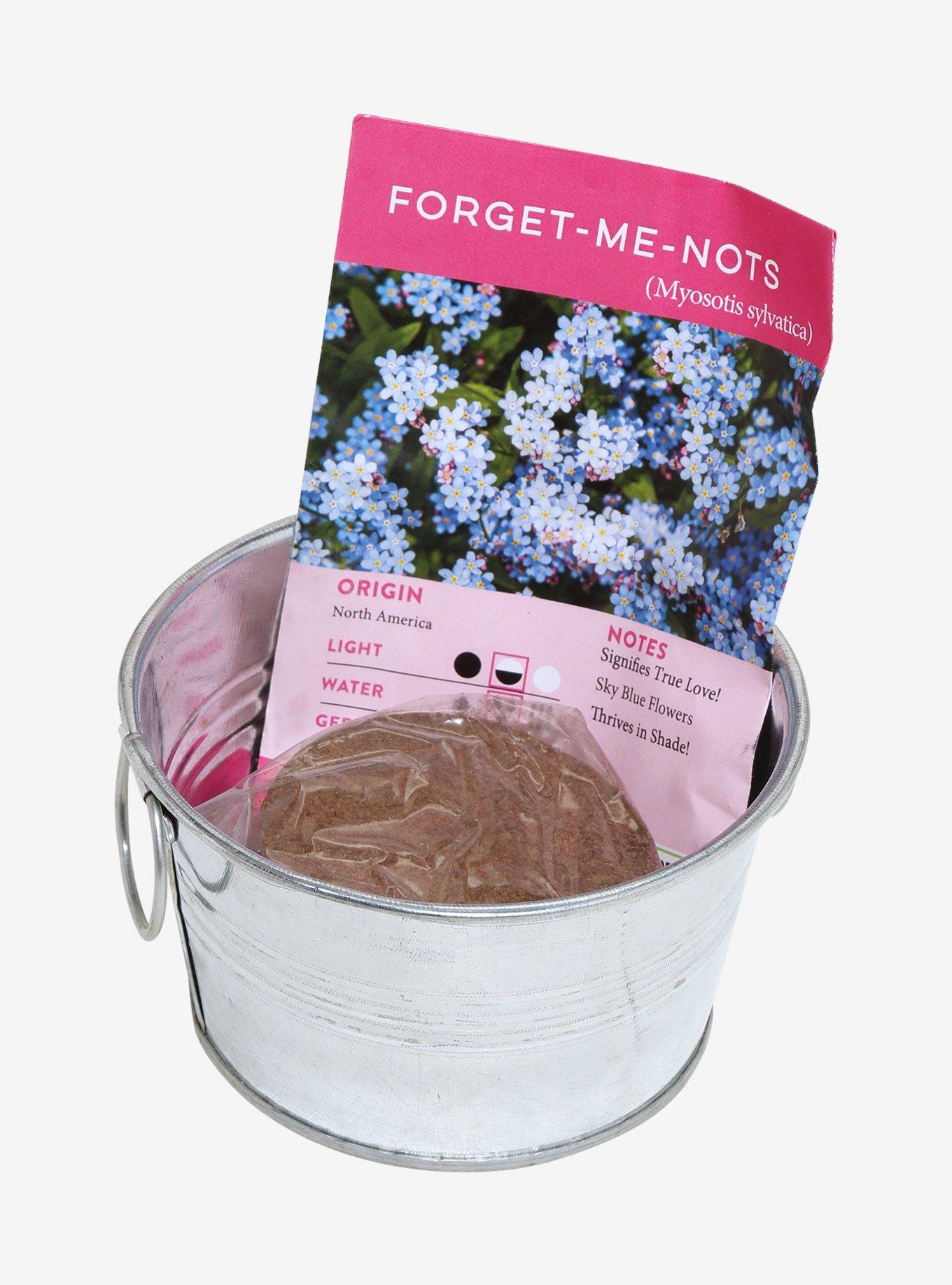 Lil' Bucket of Love Forget-Me-Not Grow Kit, , hi-res