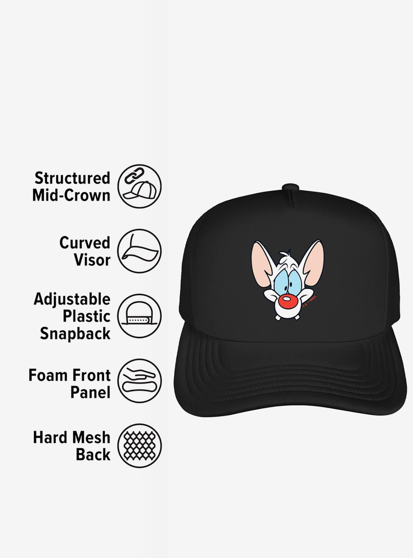 Pinky And The Brain Pinky Head Foam Trucker Hat, , alternate