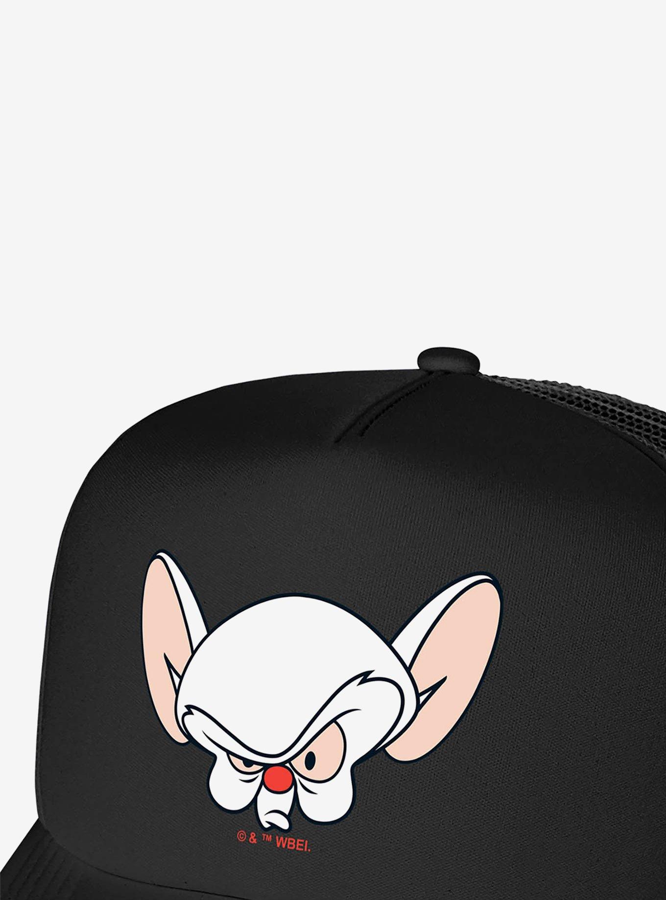Pinky And The Brain Brain Head Foam Trucker Hat, , hi-res