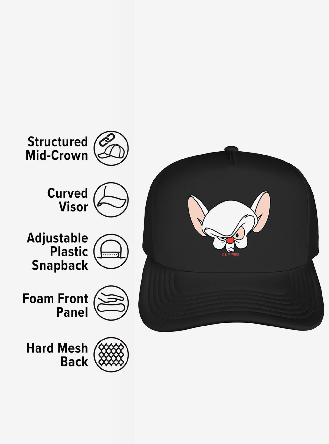 Pinky And The Brain Brain Head Foam Trucker Hat, , alternate