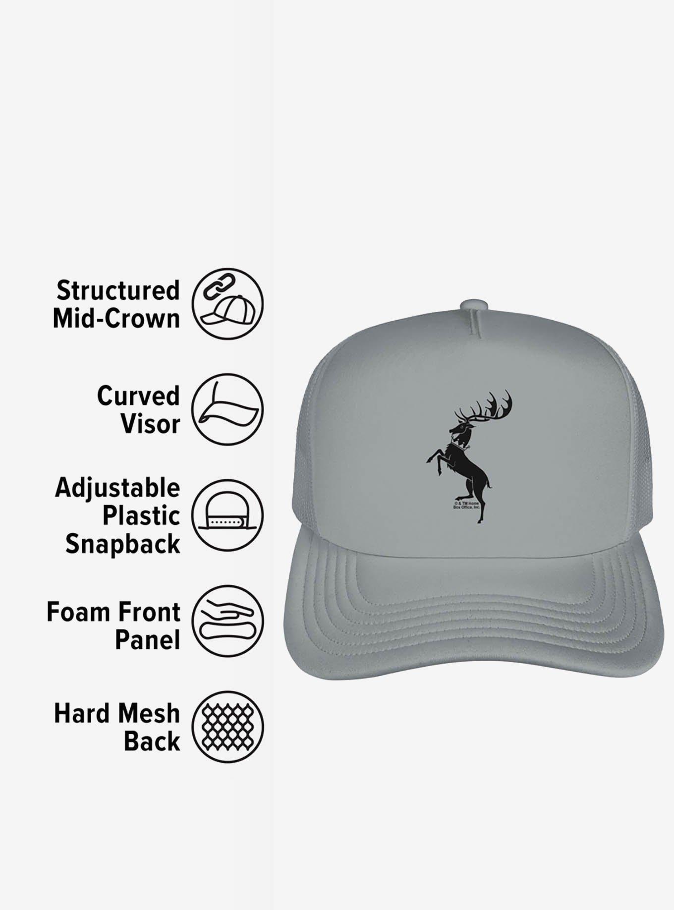 Game Of Thrones Baratheon Sigil Foam Trucker Hat, , alternate